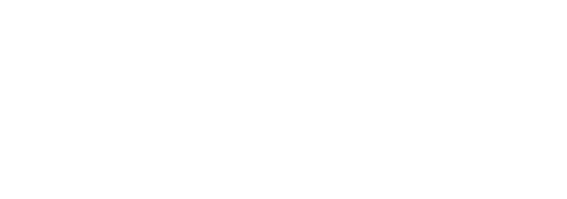 TopRein